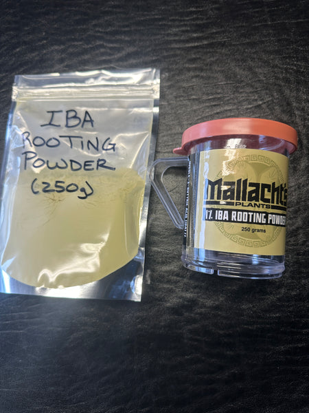 Mallacht's Rooting Powder (250g) (1% IBA)