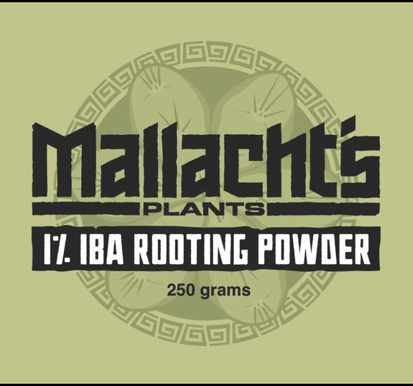 Mallacht's Rooting Powder (250g) (1% IBA)